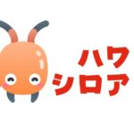 ハワイでシロアリ